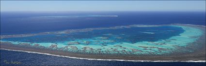 Llewellyn Reef - QLD (PBH4 00 18380)